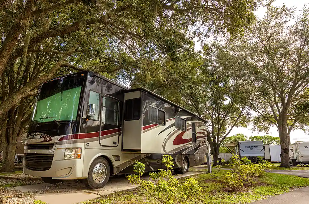 rv under a tree