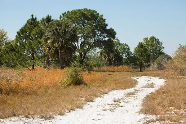 lake-kissimmee-state-park